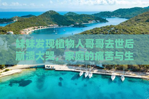 妹妹发现植物人哥哥去世后崩溃大哭，家庭的痛苦与生命的脆弱
