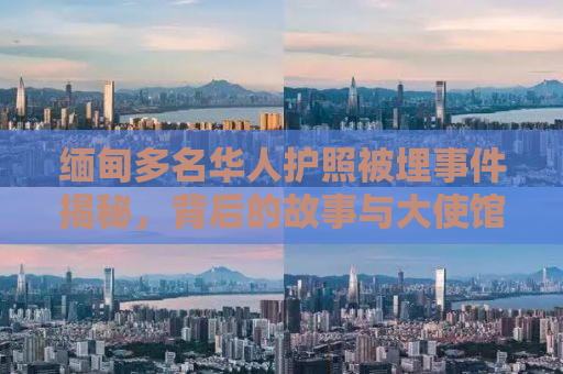 缅甸多名华人护照被埋事件揭秘，背后的故事与大使馆的回应