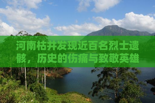 河南枯井发现近百名烈士遗骸，历史的伤痛与致敬英雄的记忆