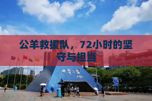 公羊救援队，72小时的坚守与担当
