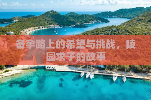 备孕路上的希望与挑战，陵园求子的故事