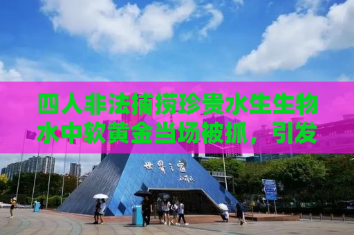 四人非法捕捞珍贵水生生物水中软黄金当场被抓，引发社会关注与反思