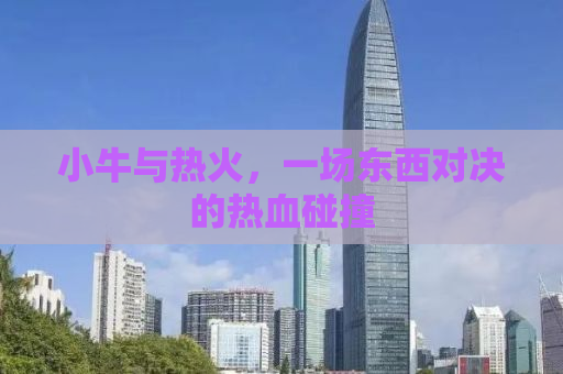 小牛与热火，一场东西对决的热血碰撞