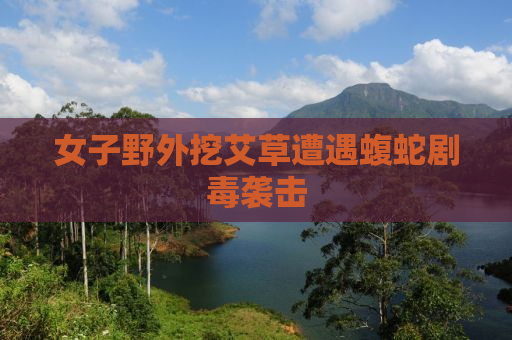 女子野外挖艾草遭遇蝮蛇剧毒袭击