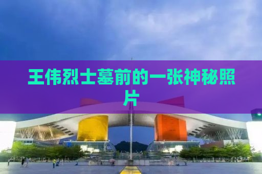 王伟烈士墓前的一张神秘照片