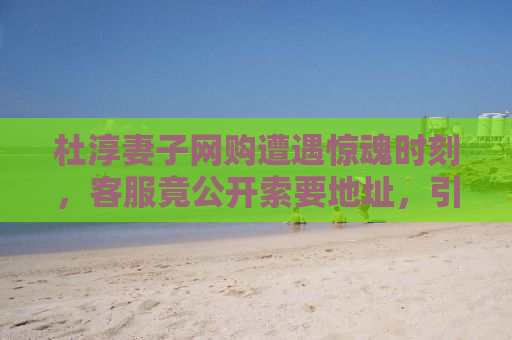 杜淳妻子网购遭遇惊魂时刻，客服竟公开索要地址，引发社会关注