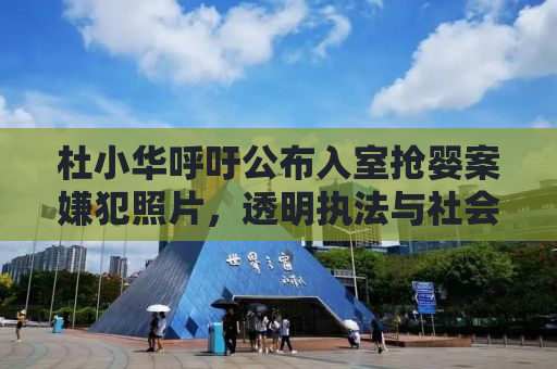 杜小华呼吁公布入室抢婴案嫌犯照片，透明执法与社会正义的双重保障