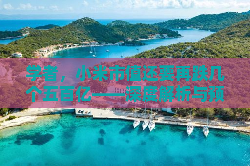 学者，小米市值还要再跌几个五百亿——深度解析与预测