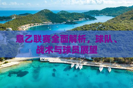 意乙联赛全面解析，球队、战术与球员展望