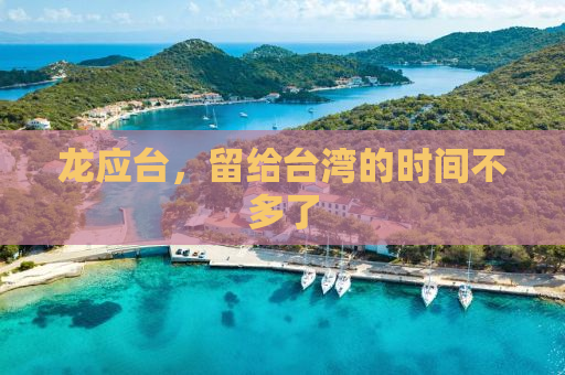 龙应台，留给台湾的时间不多了