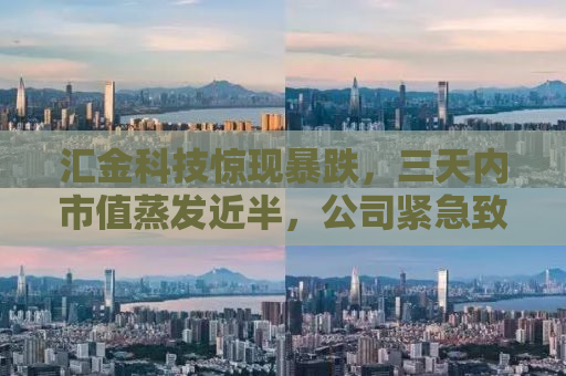 汇金科技惊现暴跌，三天内市值蒸发近半，公司紧急致歉