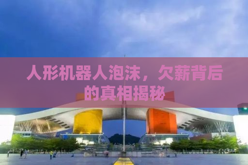 人形机器人泡沫，欠薪背后的真相揭秘