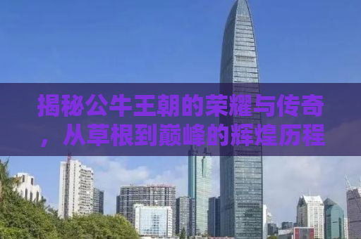 揭秘公牛王朝的荣耀与传奇，从草根到巅峰的辉煌历程