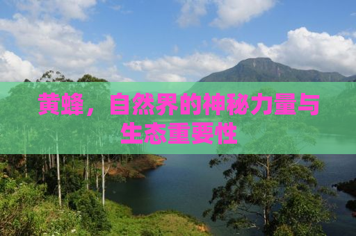 黄蜂，自然界的神秘力量与生态重要性