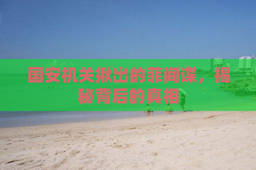 国安机关揪出的菲间谍，揭秘背后的真相