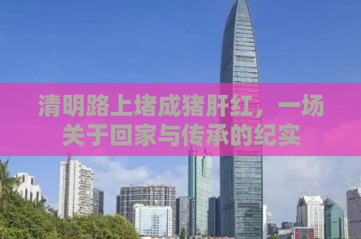 清明路上堵成猪肝红，一场关于回家与传承的纪实