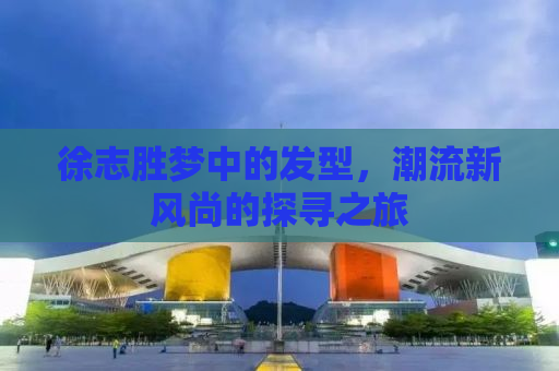 徐志胜梦中的发型，潮流新风尚的探寻之旅