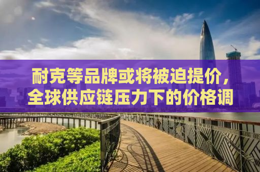 耐克等品牌或将被迫提价，全球供应链压力下的价格调整与未来展望