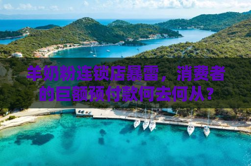 羊奶粉连锁店暴雷，消费者的巨额预付款何去何从？
