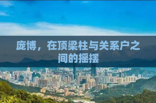 庞博，在顶梁柱与关系户之间的摇摆