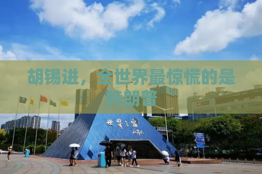 胡锡进，全世界最惊慌的是特朗普