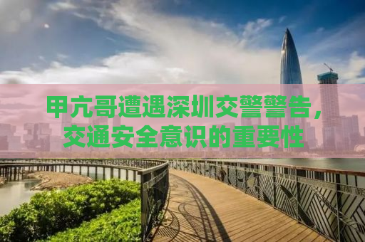 甲亢哥遭遇深圳交警警告，交通安全意识的重要性
