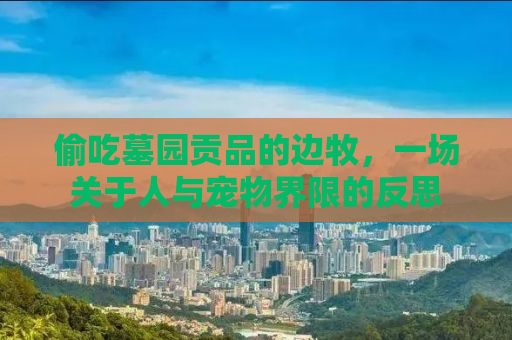 偷吃墓园贡品的边牧，一场关于人与宠物界限的反思