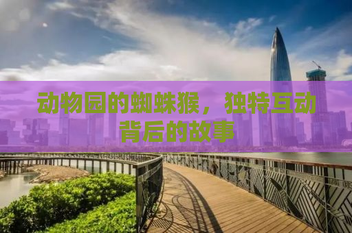 动物园的蜘蛛猴，独特互动背后的故事