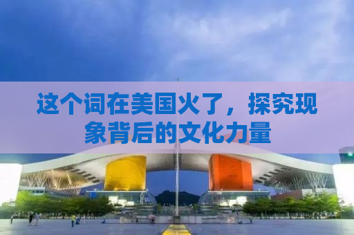 这个词在美国火了，探究现象背后的文化力量