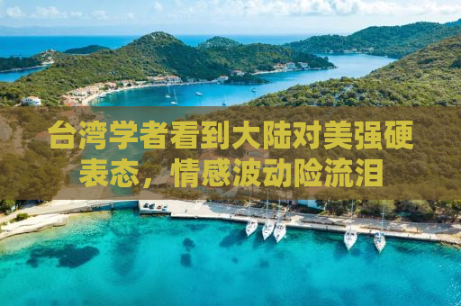 台湾学者看到大陆对美强硬表态，情感波动险流泪