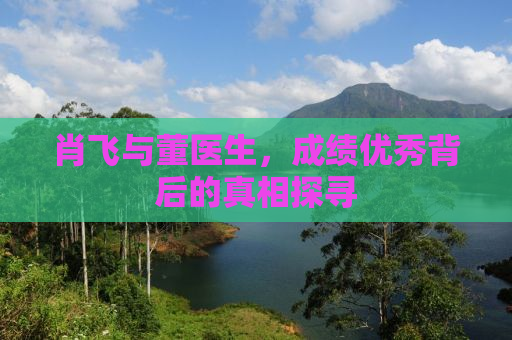 肖飞与董医生，成绩优秀背后的真相探寻