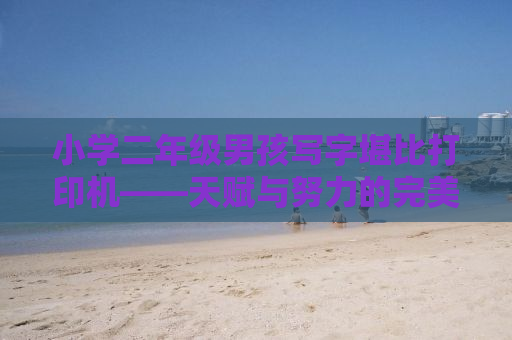 小学二年级男孩写字堪比打印机——天赋与努力的完美结合