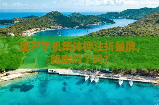 国产手机集体押注折叠屏，路走对了吗？