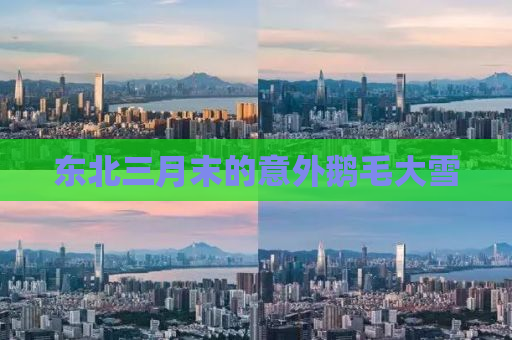 东北三月末的意外鹅毛大雪