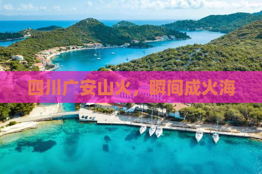 四川广安山火，瞬间成火海