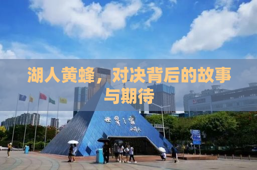 湖人黄蜂，对决背后的故事与期待