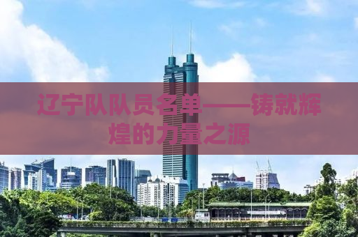 辽宁队队员名单——铸就辉煌的力量之源